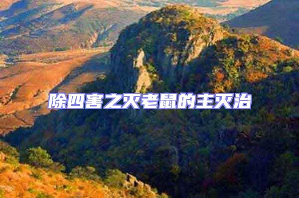 除四害之滅老鼠的主滅治