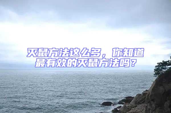 滅鼠方法這么多，你知道最有效的滅鼠方法嗎？