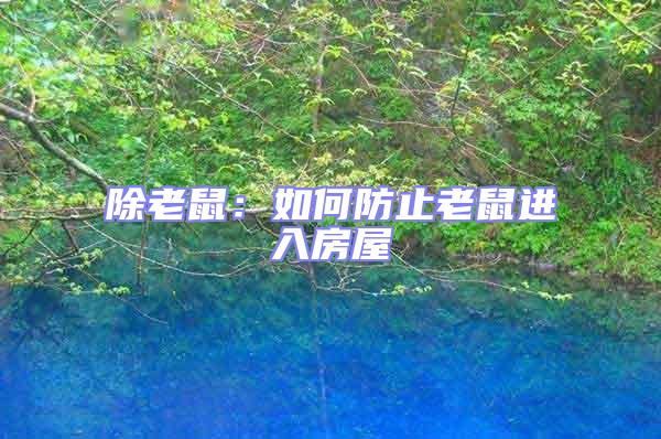 除老鼠：如何防止老鼠進入房屋