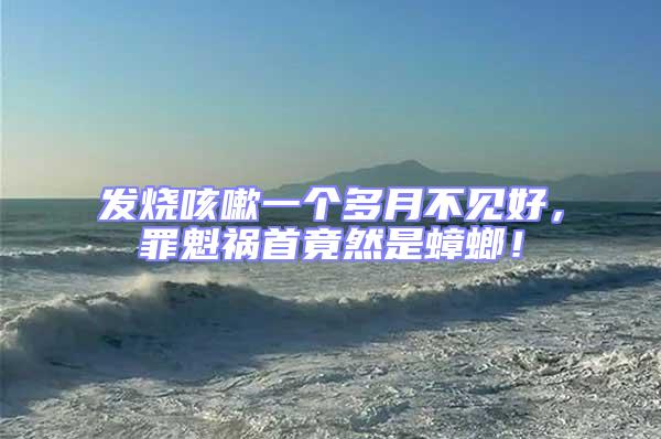 發燒咳嗽一個多月不見好，罪魁禍首竟然是蟑螂！