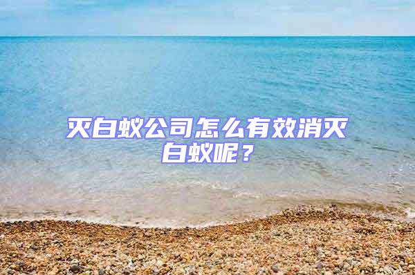 滅白蟻公司怎么有效消滅白蟻呢？