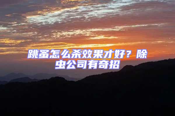 跳蚤怎么殺效果才好？除蟲(chóng)公司有奇招