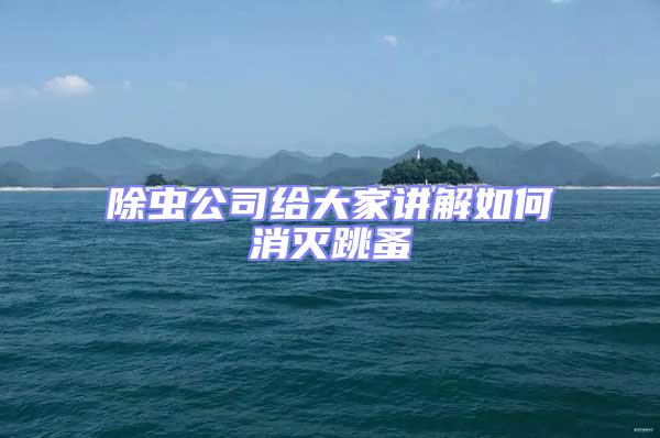 除蟲公司給大家講解如何消滅跳蚤