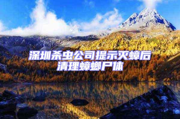 深圳殺蟲公司提示滅蟑后清理蟑螂尸體