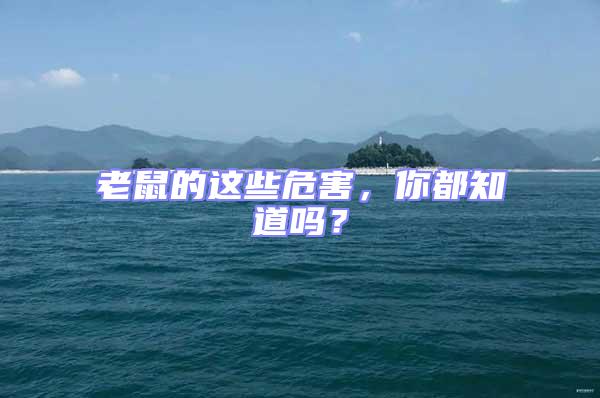 老鼠的這些危害，你都知道嗎？