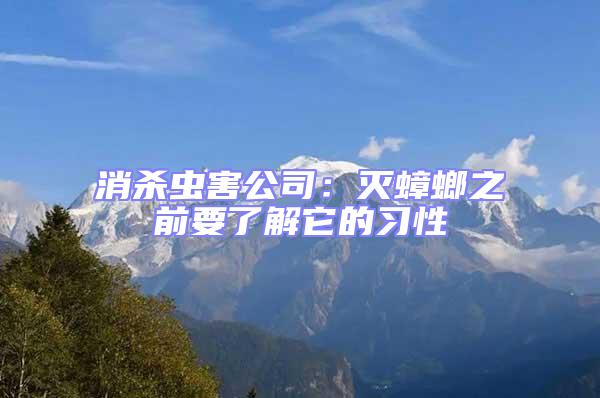 消殺蟲害公司：滅蟑螂之前要了解它的習性