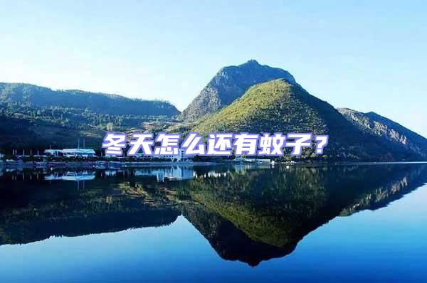 冬天怎么還有蚊子？