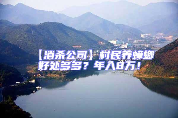 【消殺公司】村民養(yǎng)蟑螂好處多多？年入8萬！