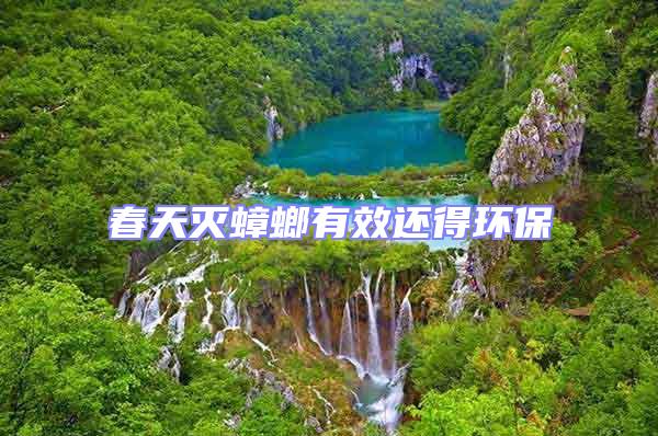 春天滅蟑螂有效還得環保