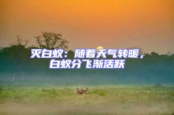 滅白蟻：隨著天氣轉暖，白蟻分飛漸活躍