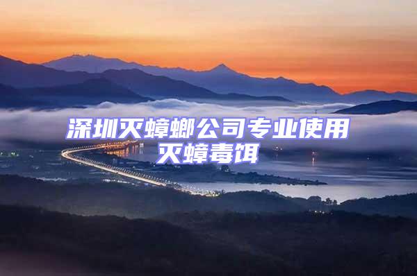 深圳滅蟑螂公司專(zhuān)業(yè)使用滅蟑毒餌