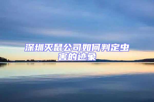 深圳滅鼠公司如何判定蟲害的跡象