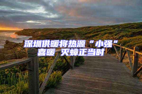 深圳供暖將熱源“小強”喜暖 滅蟑正當時