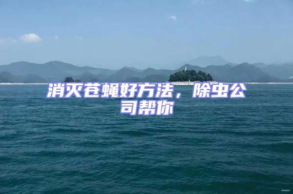 消滅蒼蠅好方法，除蟲公司幫你