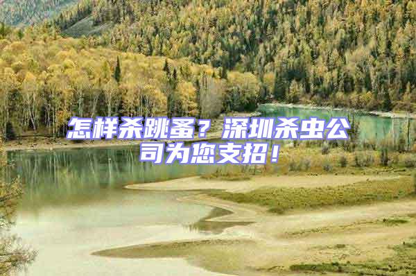 怎樣殺跳蚤？深圳殺蟲公司為您支招！