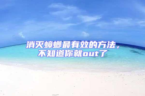 消滅蟑螂最有效的方法,不知道你就out了