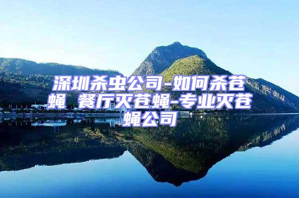 深圳殺蟲(chóng)公司-如何殺蒼蠅 餐廳滅蒼蠅-專(zhuān)業(yè)滅蒼蠅公司