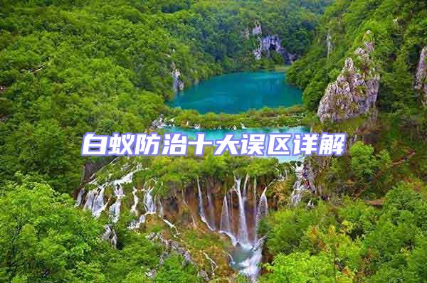 白蟻防治十大誤區詳解