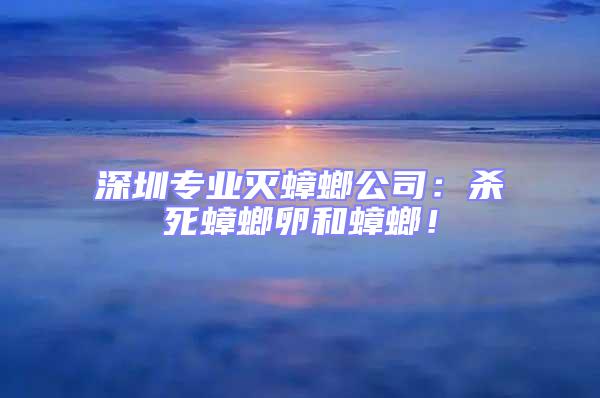 深圳專業(yè)滅蟑螂公司：殺死蟑螂卵和蟑螂！