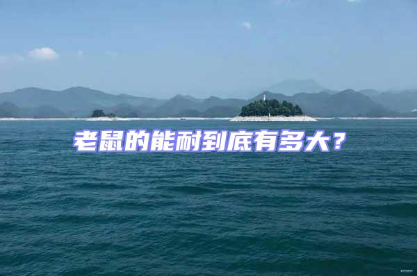 老鼠的能耐到底有多大？