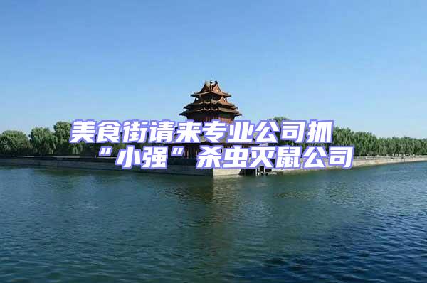 美食街請來專業公司抓“小強”殺蟲滅鼠公司