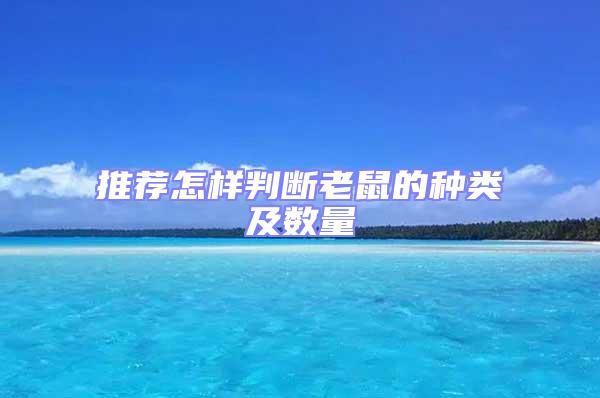 推薦怎樣判斷老鼠的種類及數量