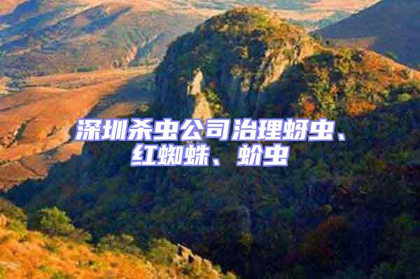 深圳殺蟲公司治理蚜蟲、紅蜘蛛、蚧蟲