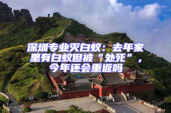 深圳專業滅白蟻：去年家里有白蟻但被“處死”，今年還會重返嗎