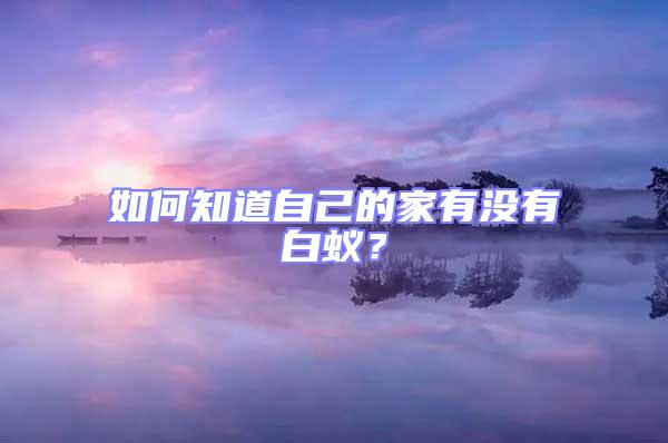 如何知道自己的家有沒有白蟻？