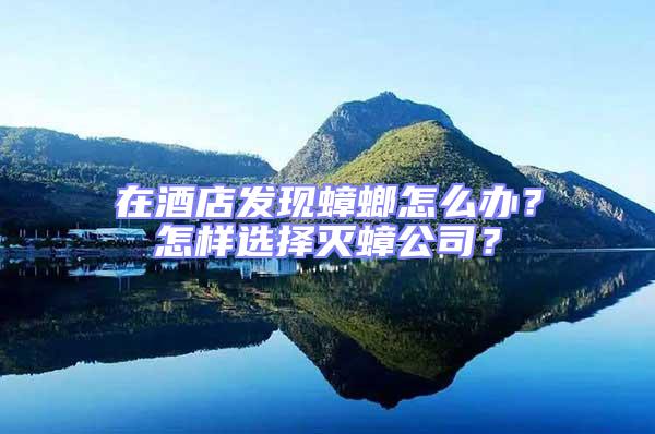 在酒店發(fā)現(xiàn)蟑螂怎么辦？怎樣選擇滅蟑公司？