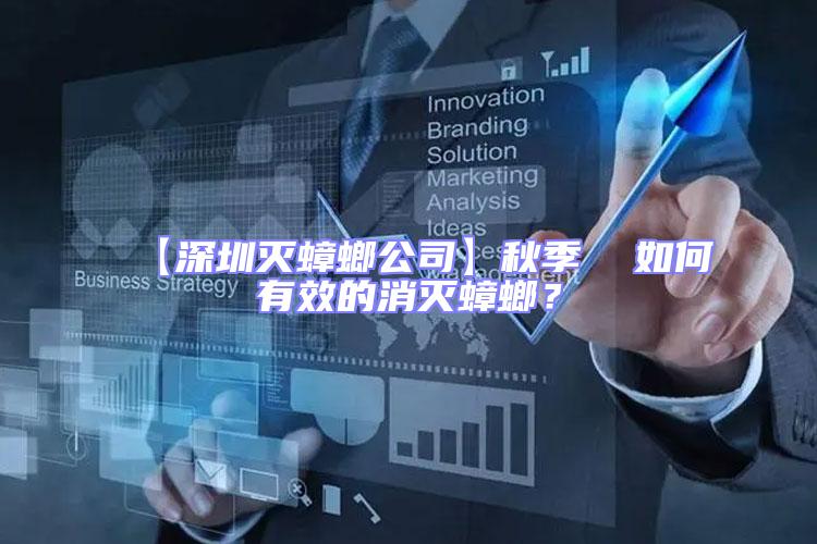 【深圳滅蟑螂公司】秋季  如何有效的消滅蟑螂？