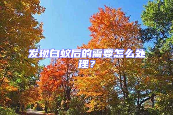 發現白蟻后的需要怎么處理?