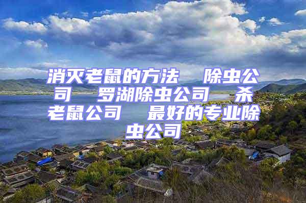 消滅老鼠的方法  除蟲公司  羅湖除蟲公司  殺老鼠公司  最好的專業除蟲公司