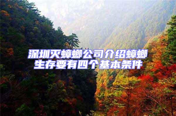深圳滅蟑螂公司介紹蟑螂生存要有四個基本條件