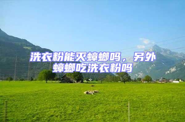 洗衣粉能滅蟑螂嗎，另外蟑螂吃洗衣粉嗎