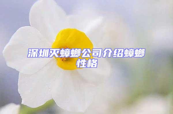 深圳滅蟑螂公司介紹蟑螂性格