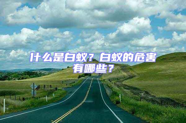 什么是白蟻？白蟻的危害有哪些？