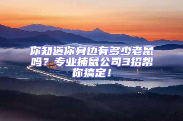 你知道你身邊有多少老鼠嗎？專業捕鼠公司3招幫你搞定！