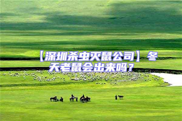 【深圳殺蟲滅鼠公司】冬天老鼠會出來嗎？