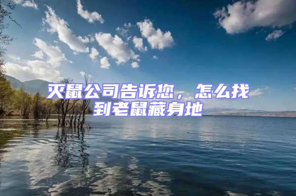 滅鼠公司告訴您，怎么找到老鼠藏身地