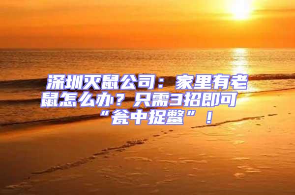 深圳滅鼠公司:家里有老鼠怎么辦?只需3招即可“甕中捉鱉”!