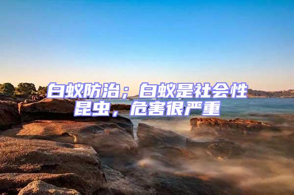 白蟻防治；白蟻是社會性昆蟲，危害很嚴重