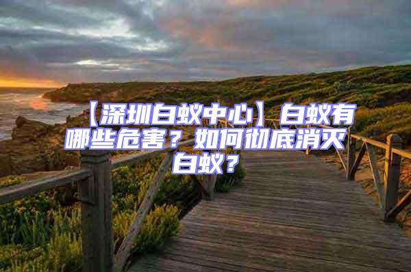 【深圳白蟻中心】白蟻有哪些危害?如何徹底消滅白蟻?