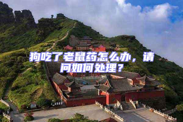 狗吃了老鼠藥怎么辦，請(qǐng)問如何處理？