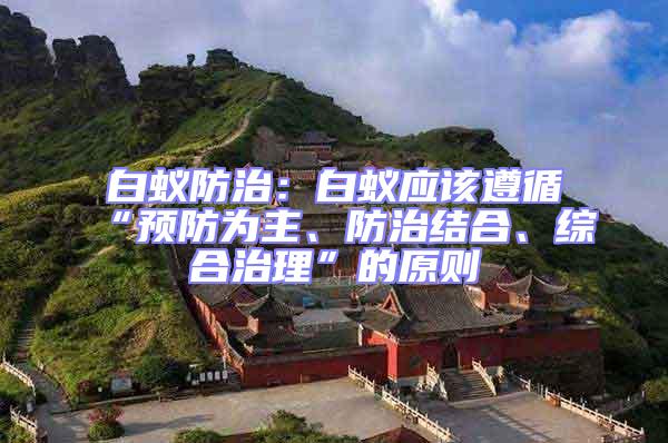 白蟻防治:白蟻應該遵循“預防為主、防治結合、綜合治理”的原則