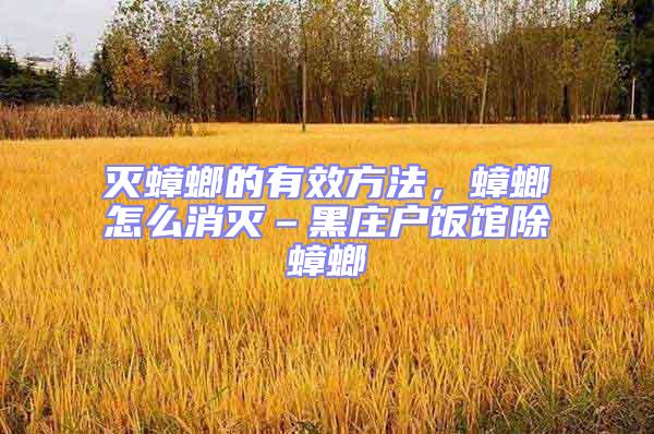 滅蟑螂的有效方法，蟑螂怎么消滅–黑莊戶飯館除蟑螂