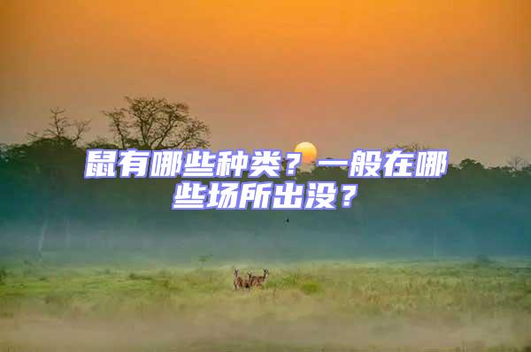 鼠有哪些種類？一般在哪些場所出沒？