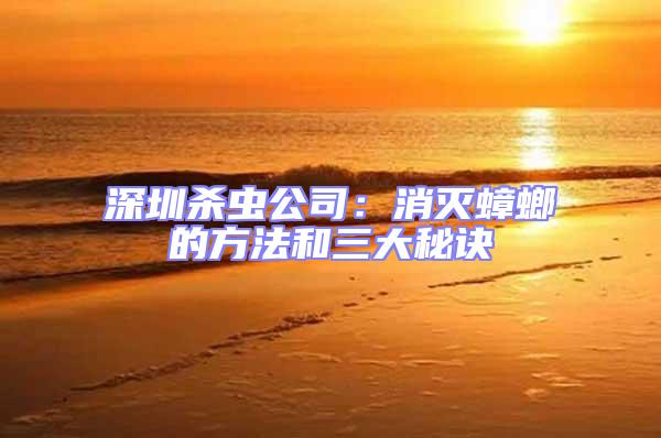 深圳殺蟲公司:消滅蟑螂的方法和三大秘訣