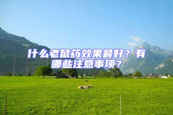 什么老鼠藥效果最好？有哪些注意事項(xiàng)？