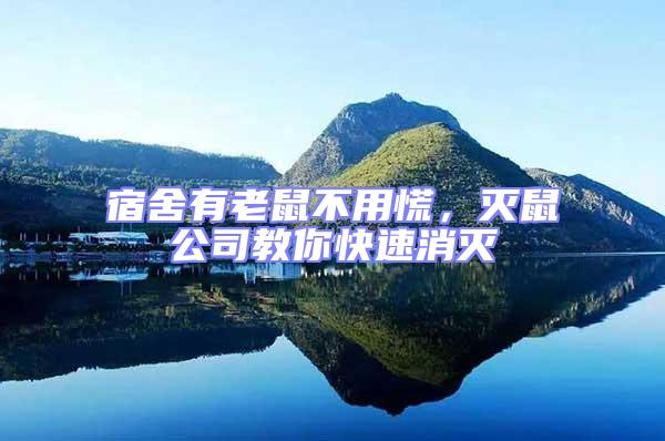 宿舍有老鼠不用慌,滅鼠公司教你快速消滅